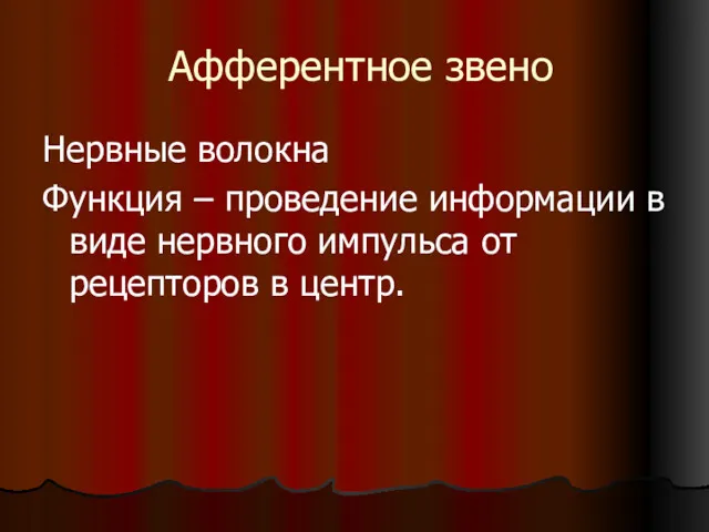 Афферентное звено Нервные волокна Функция – проведение информации в виде нервного импульса от рецепторов в центр.