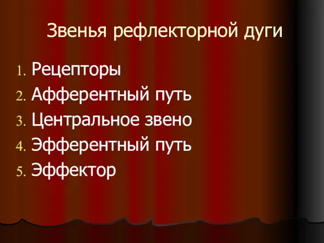 Звенья рефлекторной дуги Рецепторы Афферентный путь Центральное звено Эфферентный путь Эффектор