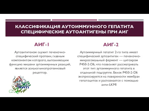 КЛАССИФИКАЦИЯ АУТОИММУННОГО ГЕПАТИТА СПЕЦИФИЧЕСКИЕ АУТОАНТИГЕНЫ ПРИ АИГ АИГ-1 Аутоантигеном служит