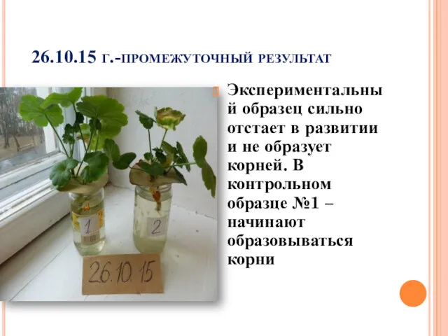 26.10.15 г.-промежуточный результат Экспериментальный образец сильно отстает в развитии и