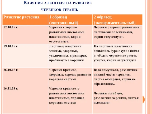 Влияния алкоголя на развитие черенков герани.