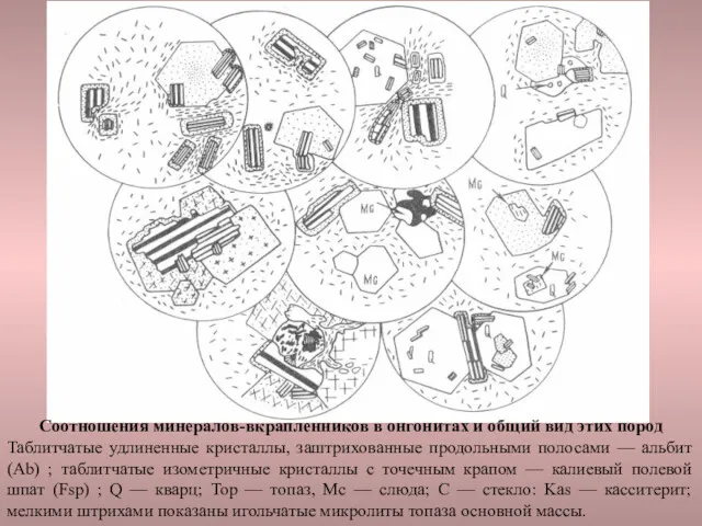 Соотношения минералов-вкрапленников в онгонитах и общий вид этих пород Таблитчатые