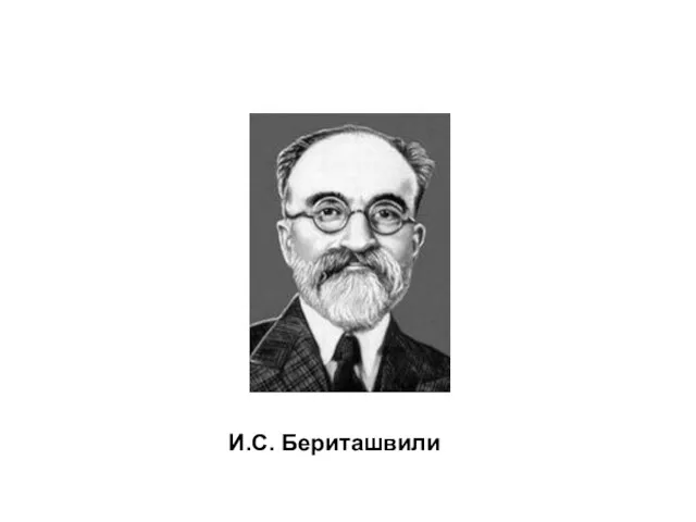 И.С. Бериташвили