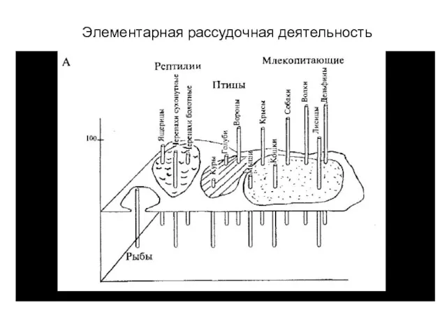 Элементарная рассудочная деятельность