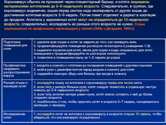 Профилактика инфекции у котят: Коронавирус обычно не проникает через плацентарный