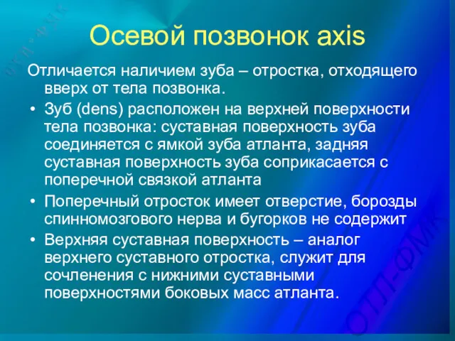 Осевой позвонок axis Отличается наличием зуба – отростка, отходящего вверх