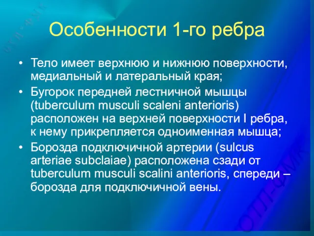 Особенности 1-го ребра • Тело имеет верхнюю и нижнюю поверхности,