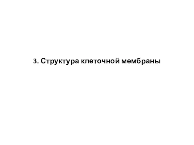 3. Структура клеточной мембраны