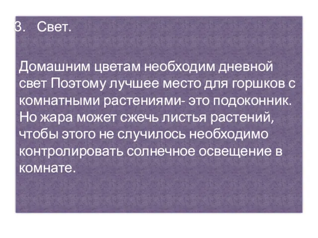 Свет. Домашним цветам необходим дневной свет Поэтому лучшее место для