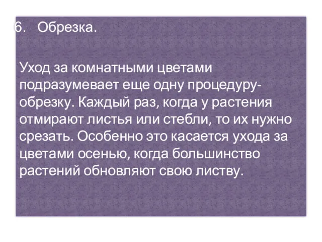 Обрезка. Уход за комнатными цветами подразумевает еще одну процедуру- обрезку.