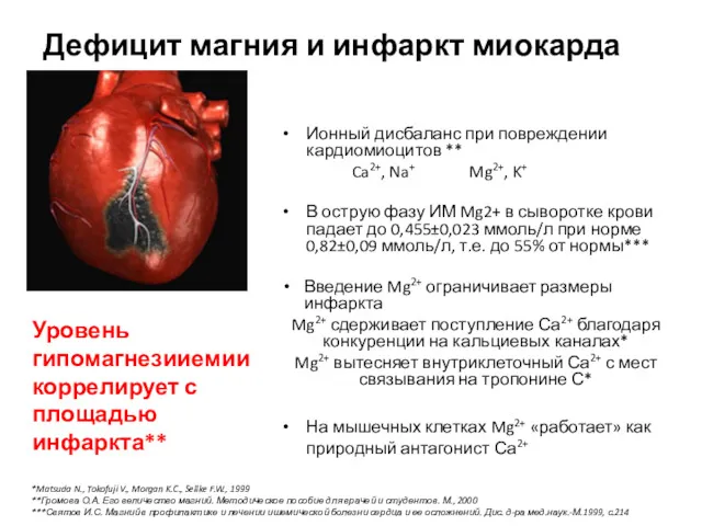 Дефицит магния и инфаркт миокарда Ионный дисбаланс при повреждении кардиомиоцитов