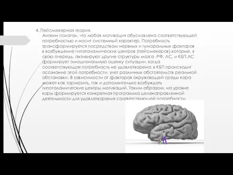 4. Пейсмекерная теория. Анохин полагал, что любая мотивация обусловлена соответствующей