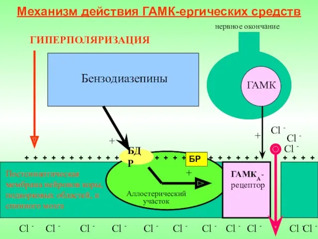 Механизм действия ГАМК-ергических средств ГАМК нервное окончание Сl - ГАМКА-рецептор