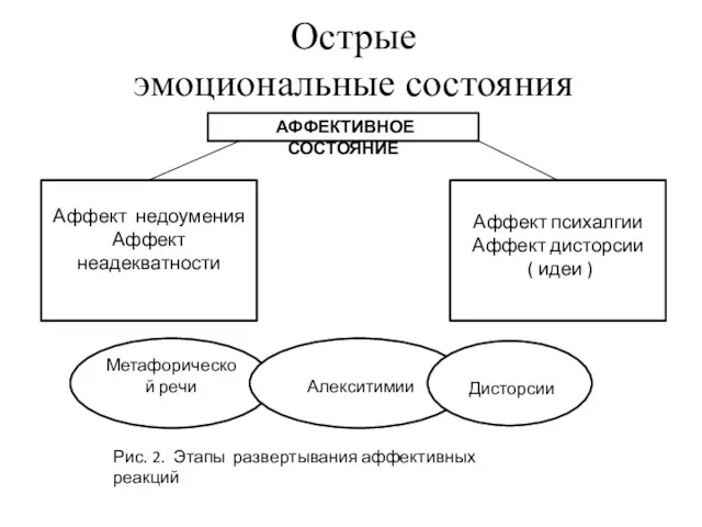 Аффект недоумения Аффект неадекватности АФФЕКТИВНОЕ СОСТОЯНИЕ Аффект психалгии Аффект дисторсии