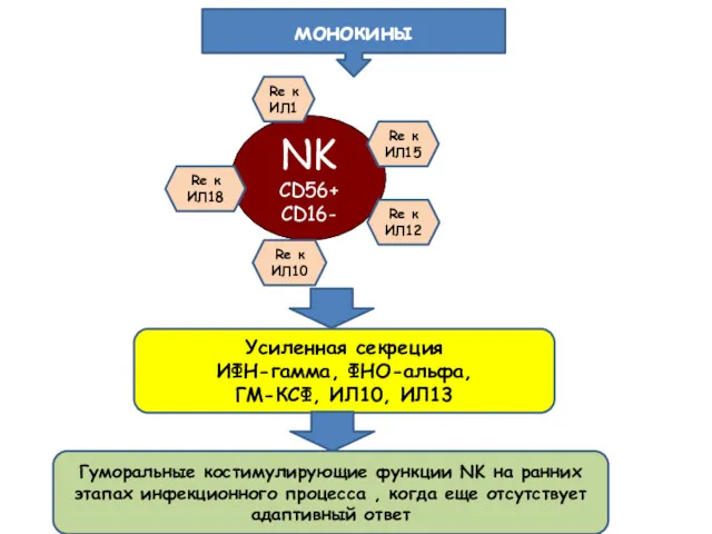 NK CD56+ CD16- Re к ИЛ1 Re к ИЛ15 Re к ИЛ18 Re