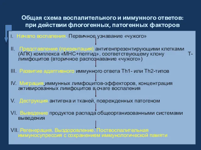 Общая схема воспалительного и иммунного ответов: при действии флогогенных, патогенных