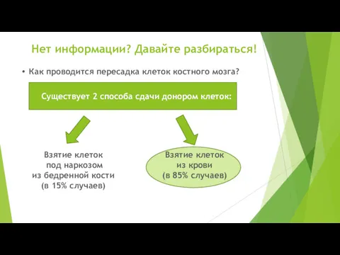 Нет информации? Давайте разбираться! Как проводится пересадка клеток костного мозга?