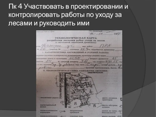 Пк 4 Участвовать в проектировании и контролировать работы по уходу за лесами и руководить ими