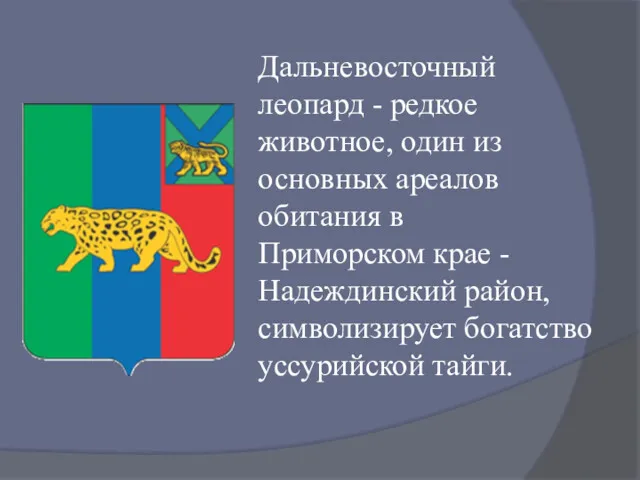 Дальневосточный леопард - редкое животное, один из основных ареалов обитания в Приморском крае