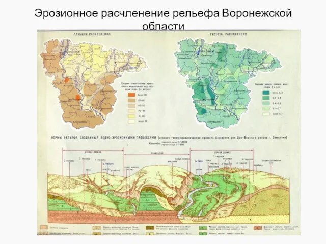 Эрозионное расчленение рельефа Воронежской области