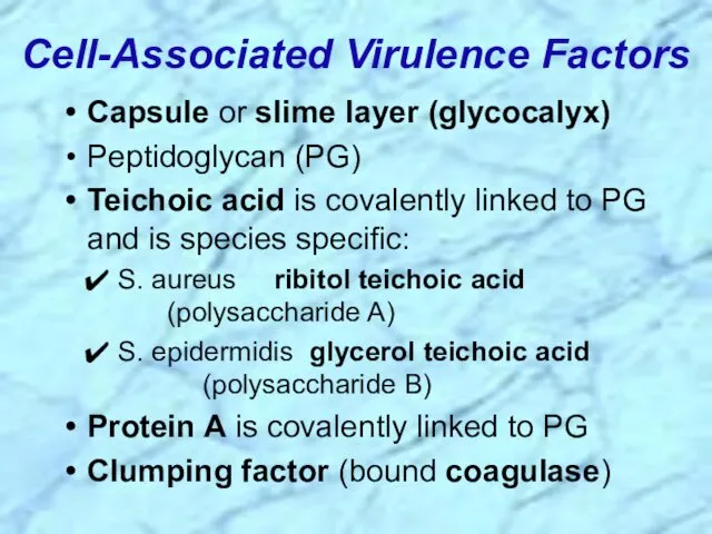 Cell-Associated Virulence Factors Capsule or slime layer (glycocalyx) Peptidoglycan (PG)