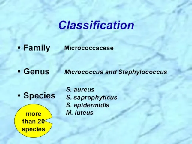 Classification Family Genus Species Micrococcaceae Micrococcus and Staphylococcus S. aureus