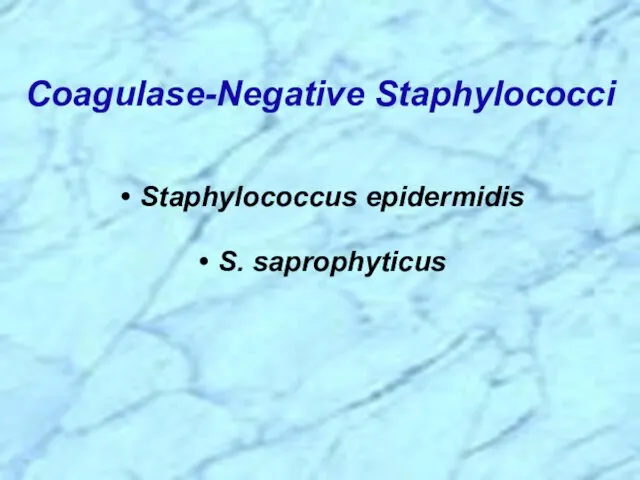 Coagulase-Negative Staphylococci Staphylococcus epidermidis S. saprophyticus