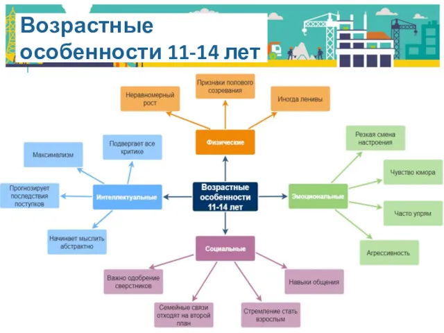 Возрастные особенности 11-14 лет Физические Интеллектуальные Эмоциональные Социальные