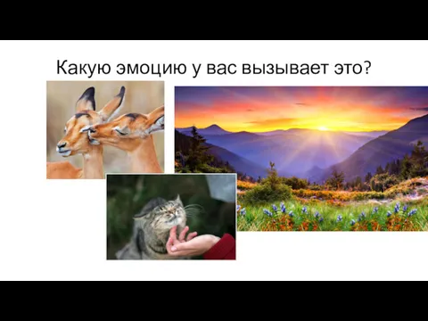 Какую эмоцию у вас вызывает это?