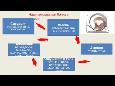 Наши эмоции, как белка в колесе Ситуация УЧИТЕЛЬ КРИЧИТ НА