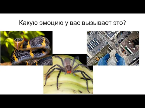 Какую эмоцию у вас вызывает это?