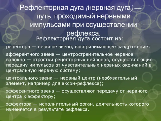 Рефлекторная дуга (нервная дуга) — путь, проходимый нервными импульсами при