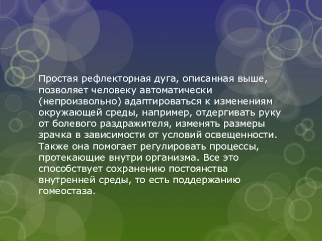 Простая рефлекторная дуга, описанная выше, позволяет человеку автоматически (непроизвольно) адаптироваться