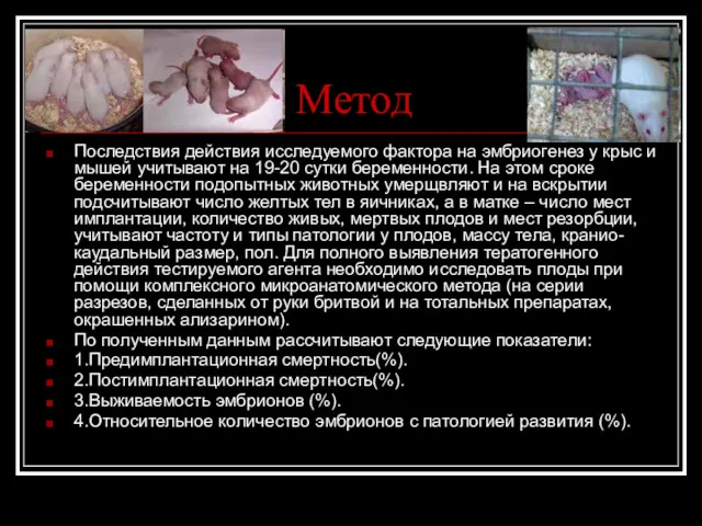 Метод Последствия действия исследуемого фактора на эмбриогенез у крыс и