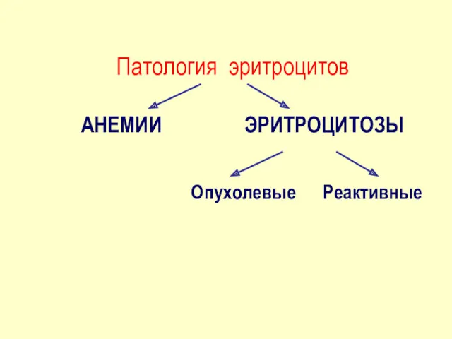 Патология эритроцитов АНЕМИИ ЭРИТРОЦИТОЗЫ Опухолевые Реактивные