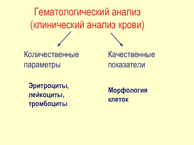 Гематологический анализ (клинический анализ крови) Количественные параметры Качественные показатели Эритроциты, лейкоциты, тромбоциты Морфология клеток