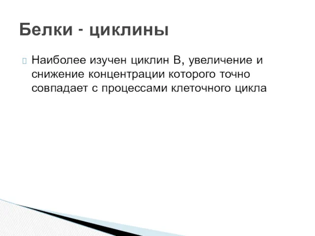 Наиболее изучен циклин В, увеличение и снижение концентрации которого точно