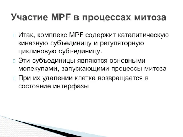 Итак, комплекс МРF содержит каталитическую киназную субъединицу и регуляторную циклиновую