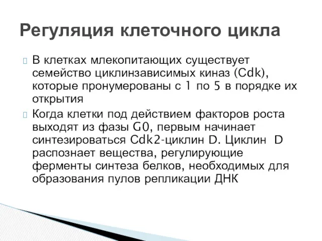 В клетках млекопитающих существует семейство циклинзависимых киназ (Сdk), которые пронумерованы