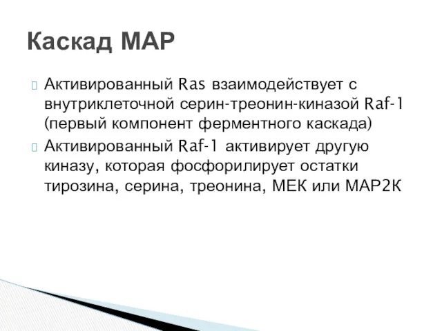 Активированный Ras взаимодействует с внутриклеточной серин-треонин-киназой Raf-1 (первый компонент ферментного