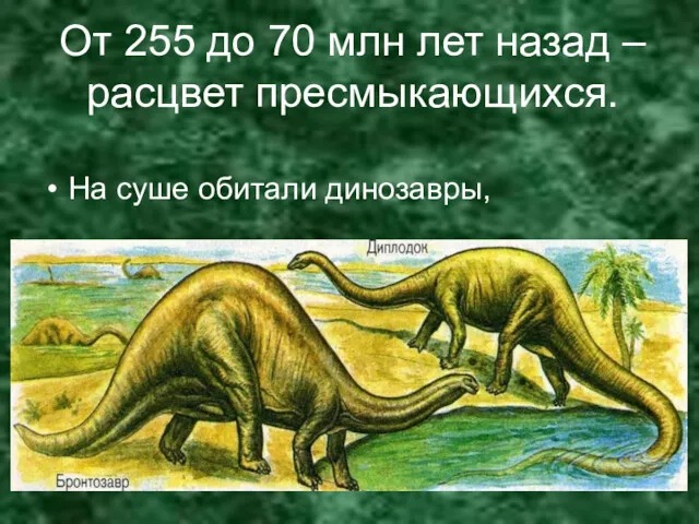 От 255 до 70 млн лет назад – расцвет пресмыкающихся. На суше обитали динозавры,