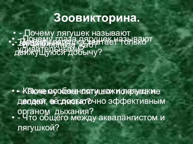 Зоовикторина. - Почему лягушек называют амфибиями? - Почему глаза лягушек