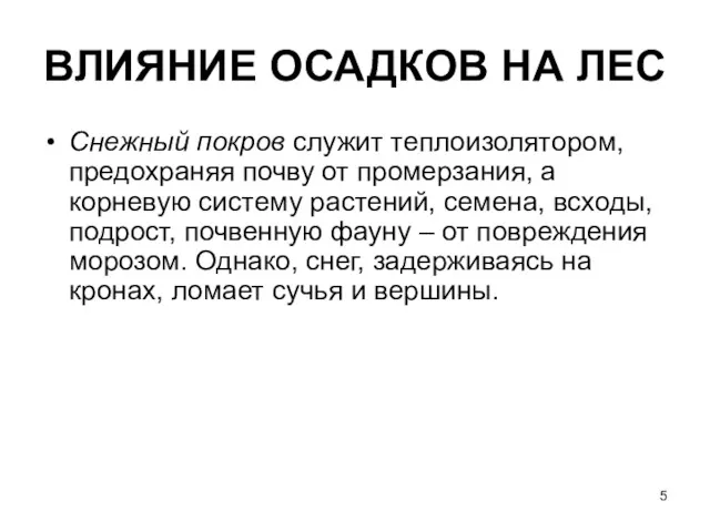 ВЛИЯНИЕ ОСАДКОВ НА ЛЕС Снежный покров служит теплоизолятором, предохраняя почву