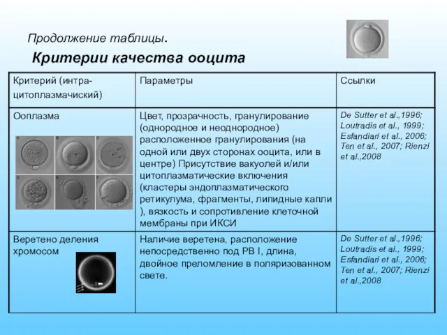 Продолжение таблицы. Критерии качества ооцита