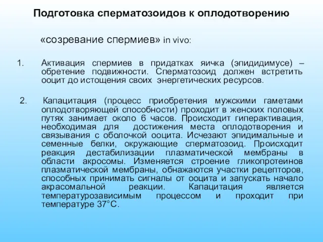 Подготовка сперматозоидов к оплодотворению Активация спермиев в придатках яичка (эпидидимусе)