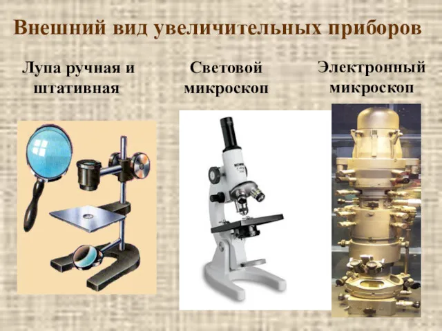 Лупа ручная и штативная Световой микроскоп Электронный микроскоп Внешний вид увеличительных приборов