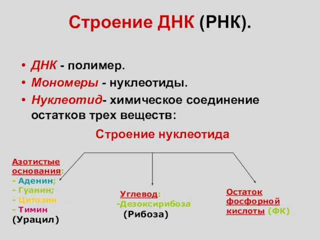 Строение ДНК (РНК). ДНК - полимер. Мономеры - нуклеотиды. Нуклеотид-