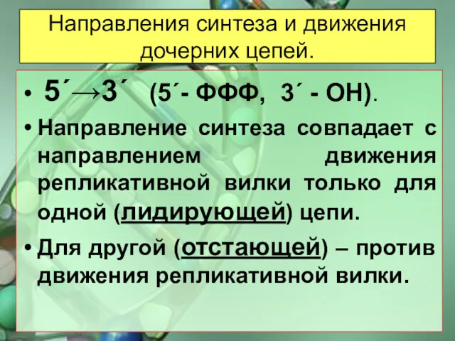 Направления синтеза и движения дочерних цепей. 5΄→3΄ (5΄- ФФФ, 3΄