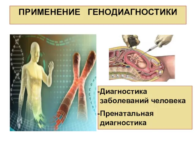 ПРИМЕНЕНИЕ ГЕНОДИАГНОСТИКИ Диагностика заболеваний человека Пренатальная диагностика