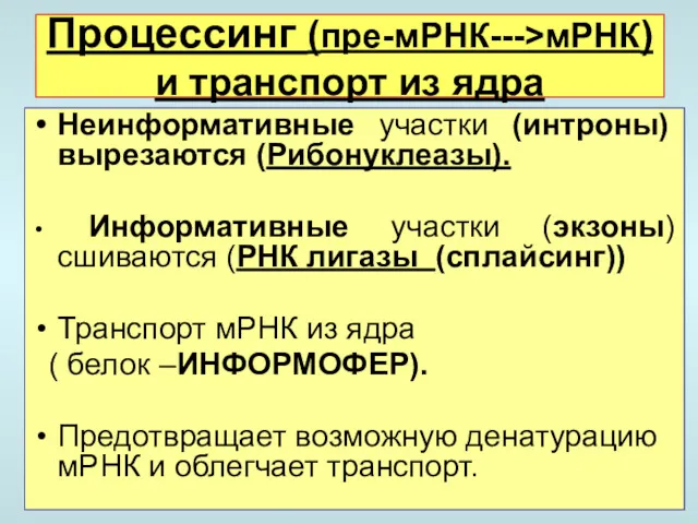 Процессинг (пре-мРНК--->мРНК) и транспорт из ядра Неинформативные участки (интроны) вырезаются